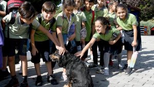 Kuşadası'nda minikler 'can dostlarla' bir araya geldi