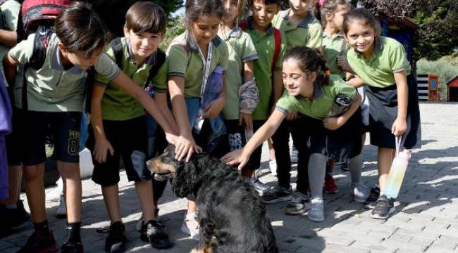 Kuşadası'nda minikler 'can dostlarla' bir araya geldi