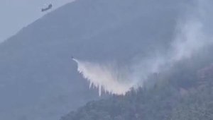 Muğla'da çıkan orman yangını kontrol altına alındı