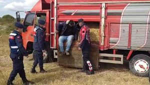 Saman balyalarının arasında kaçak göçmen