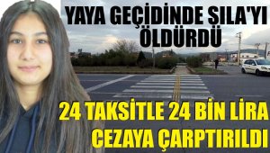 Sürücüye 24 taksitle 24 bin 300 lira para cezası