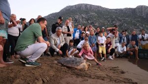 Tedavi edilen 10 caretta denizle buluşturuldu