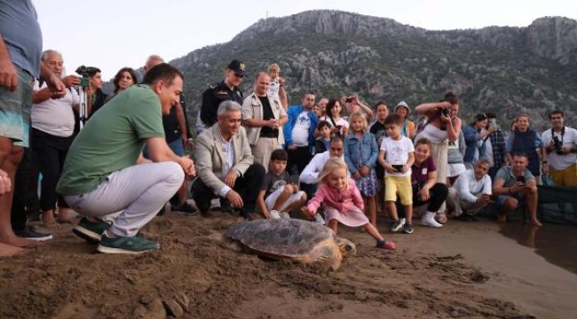 Tedavi edilen 10 caretta denizle buluşturuldu