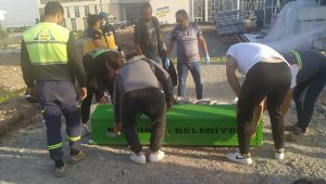 Üniversite kampüsünde ölüm