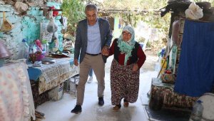 Yaşlı çınarlara belediye başkanından doğum günü sürprizi