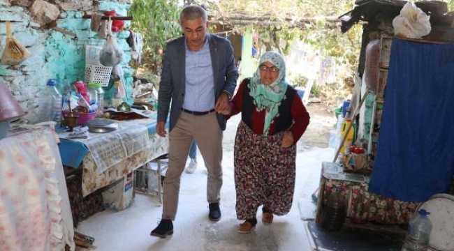 Yaşlı çınarlara belediye başkanından doğum günü sürprizi