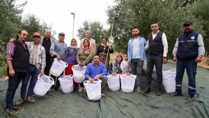 Akhisar'da zeytin hasadı yapan üreticilere koruyu ekipman desteği