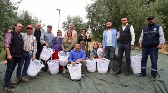 Akhisar'da zeytin hasadı yapan üreticilere koruyu ekipman desteği