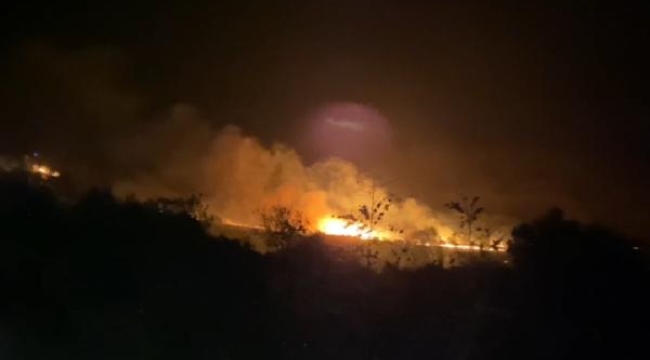 Balıkesir'de trafo yangını ormana sıçradı