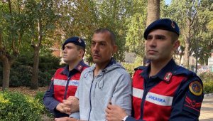 Bıçak ve tornavidalı kadın cinayeti