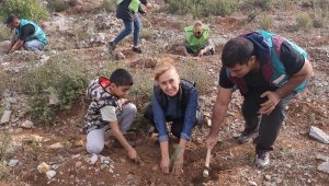 Bodrum'da ağaç seferberliği! Yanan alanlar fidan buluştu