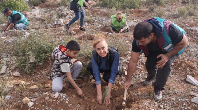 Bodrum'da ağaç seferberliği! Yanan alanlar fidan buluştu