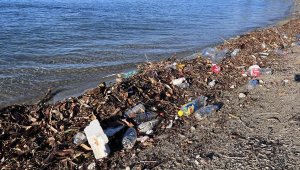 Bodrum'da sağanak sonrası sahillerde kirlilik