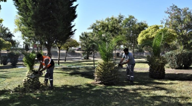 Bornova 34 bin metrekare yeşil alan kazandı