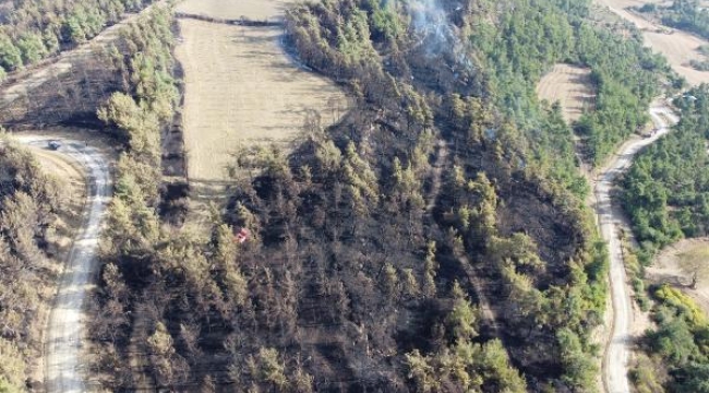 Çanakkale'deki orman yangını kontrol altında
