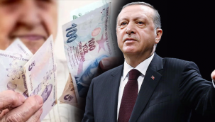 Çalışan emeklilere de 5 bin lira verilecek