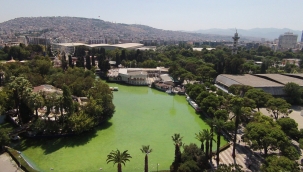 Göl Gazinosu yeniden ayağa kalkıyor