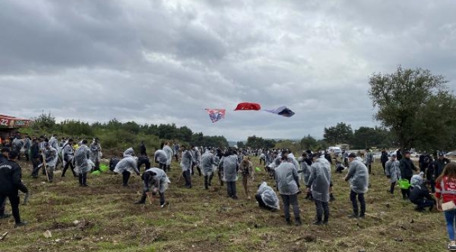 İzmir'de mavi ve kara servi, fıstık çamı ve çam fidanı dikildi