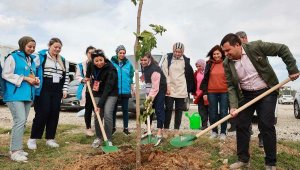 Uşak Belediyesi, 11 bin fidanı toprakla buluşturuyor
