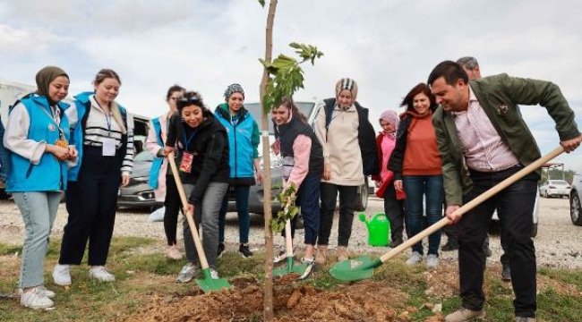 Uşak Belediyesi, 11 bin fidanı toprakla buluşturuyor