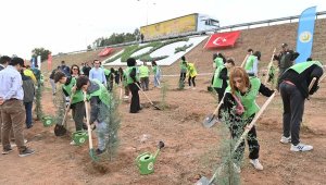 Yemyeşil bir Aydın için 2 bin 23 fidan toprakla buluşturuldu