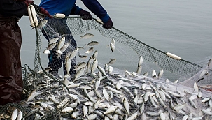 1 milyar dolar barajını ilk onlar geçti