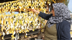 Dalından kilosu 30 kuruş, kabuğu 17 lira