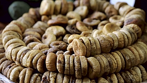 Kuru incir ihracatındaki sorunlar ortak akılla çözülecek