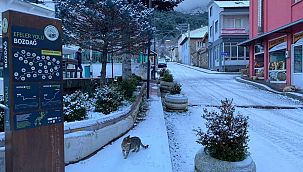 Bozdağ Kayak Merkezi açıldı, bu kez de kar birikmedi