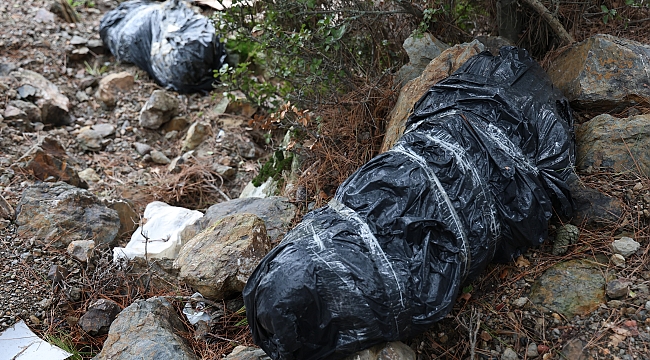 İzmir'de vahşet: Çöp poşetleri içerisinde köpek ölüleri çıktı!