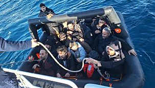 İzmir sularında göçmen hareketliliği