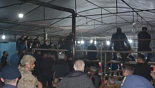 Jandarma'dan horoz dövüşü yaptıranlara operasyon