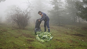 Kemalpaşa'da can dostlarımız unutulmadı