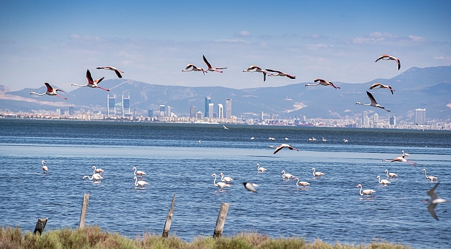 Turizmde İzmir'in yükseliş dönemi başladı