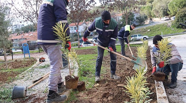 Bornova'da parklara yeni bitkiler dikiliyor