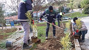Bornova'da parklara yeni bitkiler dikiliyor