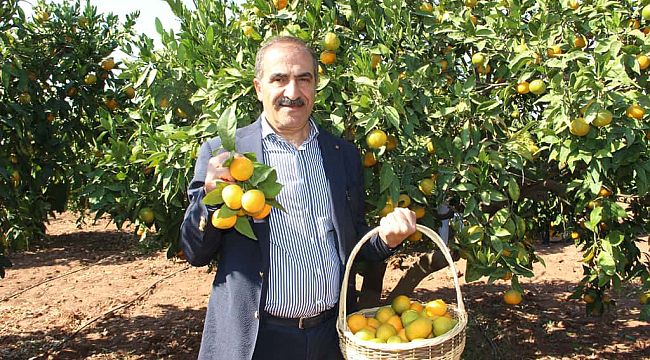 Dünya'nın C vitamini ihtiyacını Türk narenciye sektörü karşıladı