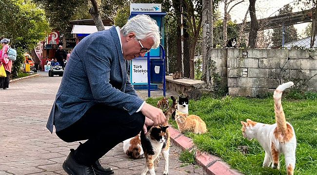 Adnan Öztekin'den Buca'da sokak hayvanları projesi