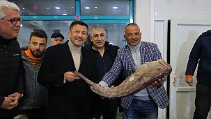 Hamza Dağ, balık halinde esnafa müjde verdi
