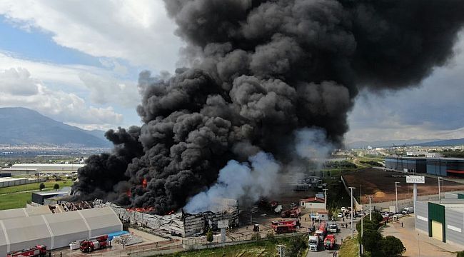 İzmir'de lojistik firmasının soğuk hava deposunda büyük yangın