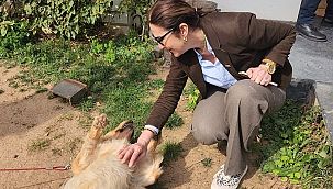 Saime Bucaklıoğlu, "Modern Hayvan Barınakları ve Hayvan otelleri olacak" 