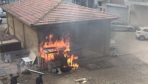 Şila isimli köpeği yakarak öldüren caniye 4 yıl hapis cezası