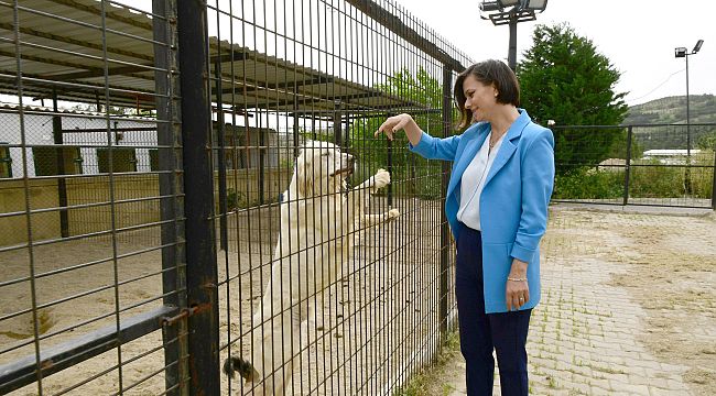 Başkan Kınay mesaiye Temizlik İşleri Şantiyesinde başladı