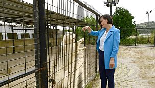 Başkan Kınay mesaiye Temizlik İşleri Şantiyesinde başladı