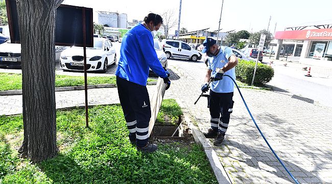 İzmir Büyükşehir Belediyesi ilaçlama çalışmalarına hız verdi