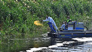 Sivrisinek ve haşere ile mücadele 12 ay sürüyor