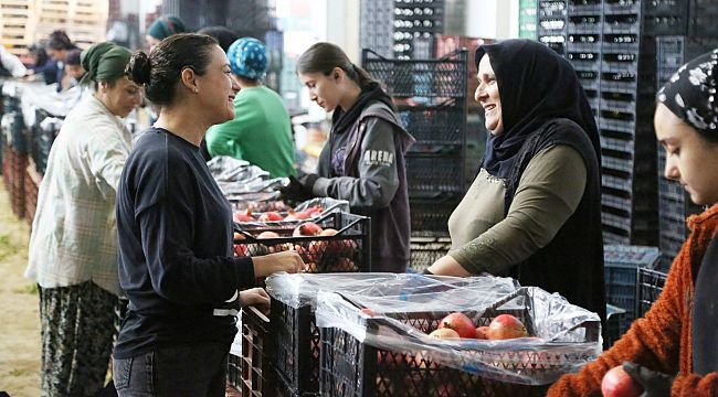 Tarım ekonomisinin bel kemiği Deppo Efes sezona hazır