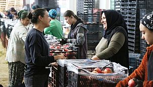 Tarım ekonomisinin bel kemiği Deppo Efes sezona hazır