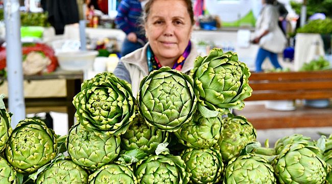 Urla Enginar Festivali için geri sayım başladı