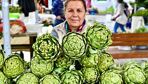 Urla Enginar Festivali için geri sayım başladı